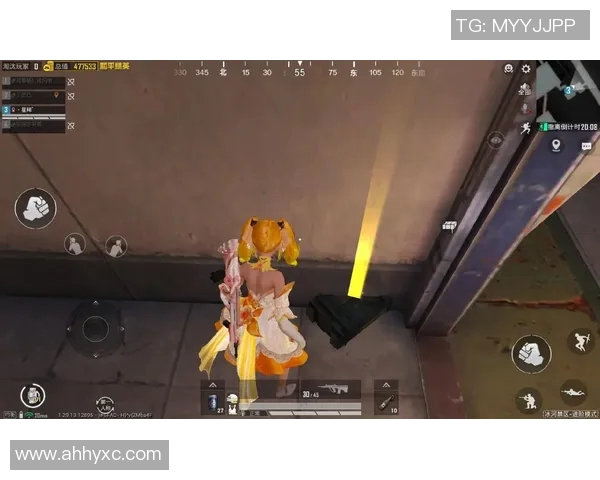 黄秀英专访：回顾和平精英的成长与挑战历程